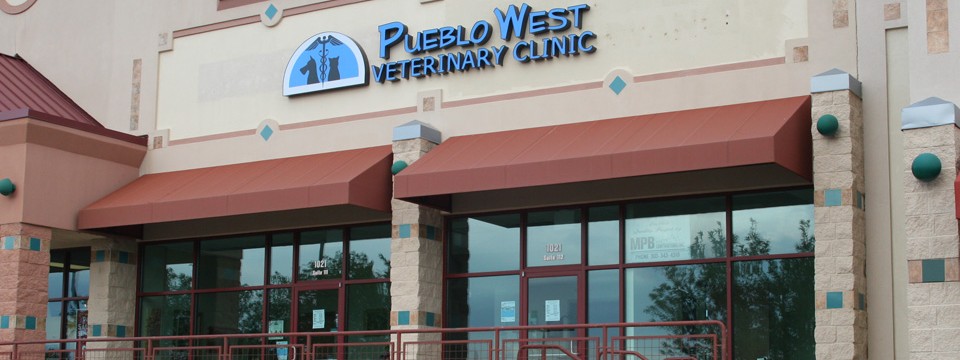 Welcome To Pueblo West Veterinary Clinic