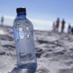 Teach Your Dog How To Drink From Water Bottle